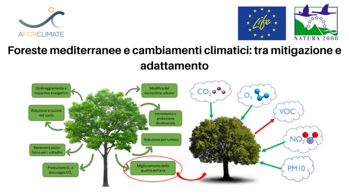 LIFE AforClimate: Foreste mediterranee e cambiamenti climatici: tra mitigazione e adattamento