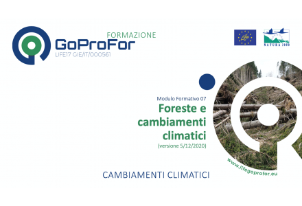 Foreste e cambiamenti climatici