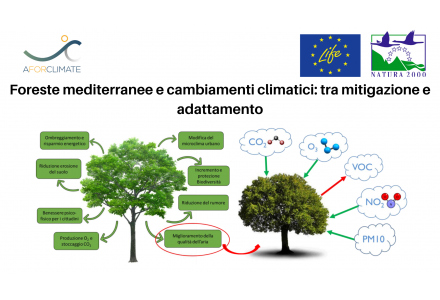 LIFE AforClimate: Foreste mediterranee e cambiamenti climatici: tra mitigazione e adattamento