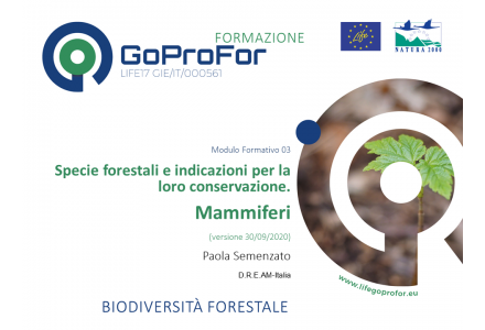 Specie forestali e indicazioni per la loro conservazione: mammiferi